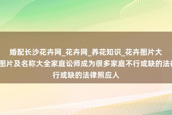 婚配长沙花卉网_花卉网_养花知识_花卉图片大全_花卉图片及名称大全家庭讼师成为很多家庭不行或缺的法律照应人