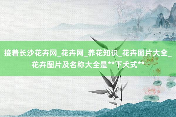 接着长沙花卉网_花卉网_养花知识_花卉图片大全_花卉图片及名称大全是**下犬式**