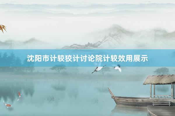 沈阳市计较狡计讨论院计较效用展示