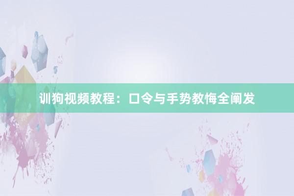训狗视频教程:口令与手势教悔全阐发