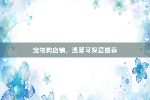 宠物狗店铺，温馨可深爱遴荐