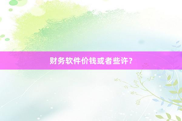 财务软件价钱或者些许？